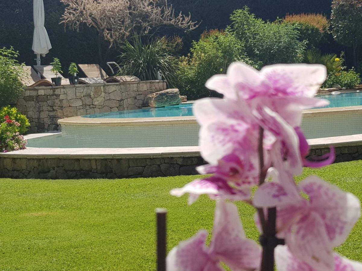 Au Pays De Cezanne Picasso & Matisse Lejlighed Aix-en-Provence Eksteriør billede