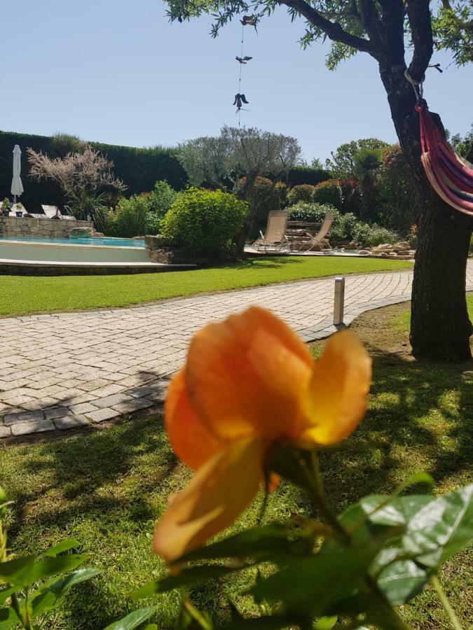 Au Pays De Cezanne Picasso & Matisse Lejlighed Aix-en-Provence Eksteriør billede