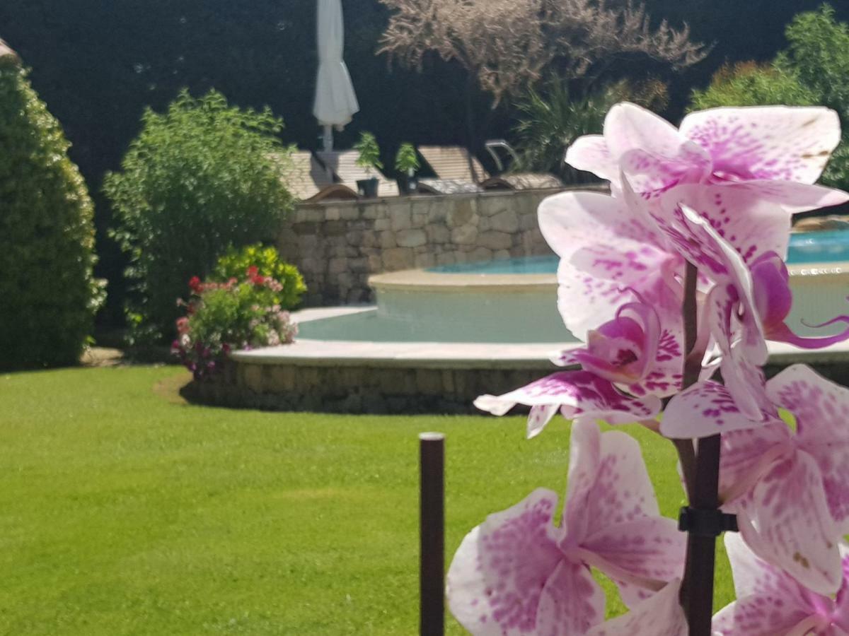 Au Pays De Cezanne Picasso & Matisse Lejlighed Aix-en-Provence Eksteriør billede